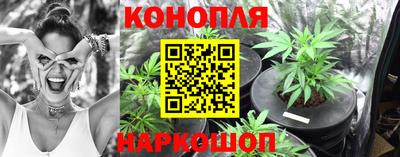 гидра Гагарин