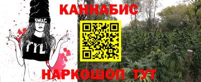 МДПВ Гай