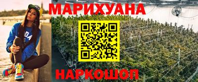 гидра Гагарин